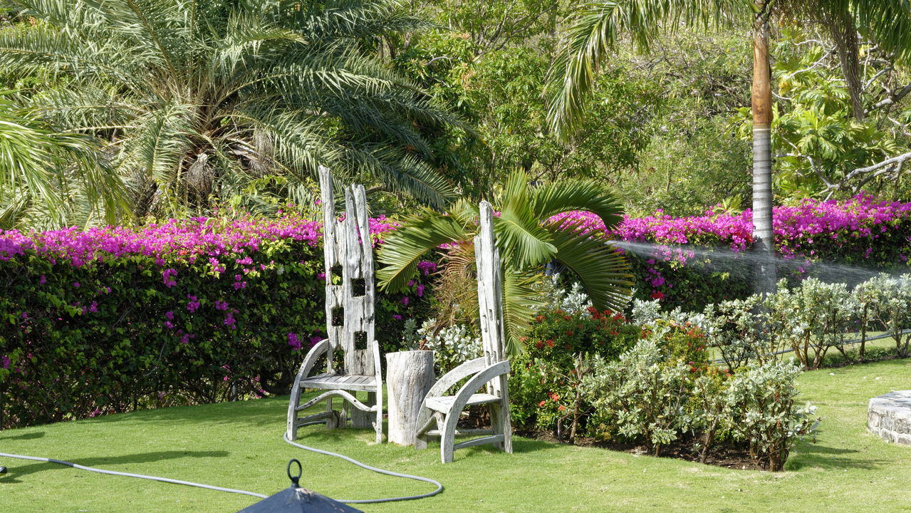 20170213 093054•Trinity•Trinity Palmetto Point•Saint Kitts and Nevis